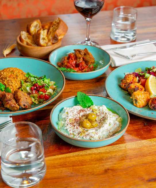 Lamb Sish Chicken Sish Cacik Zeytinyagli Patlican